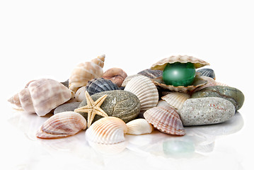 Image showing various color shells with stylized pearl isolated on white