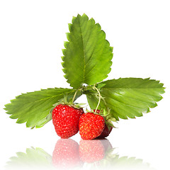 Image showing Strawberry with leaves isolated on white