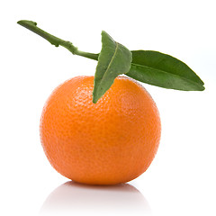 Image showing Tangerine with green leaves isolated on white