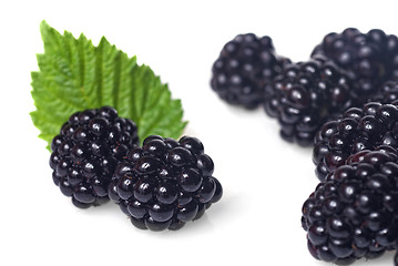 Image showing blackberry with green leaf isolated on white