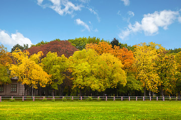 Image showing Autumn trees over the blue sky 