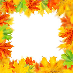 Image showing frame from autumn leaves isolated on white