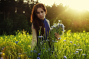 Image showing Girl gathering flowers on sunset