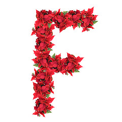 Image showing letter from red christmas flowers isolated on white