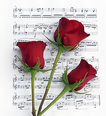 Image showing Three Rose Music