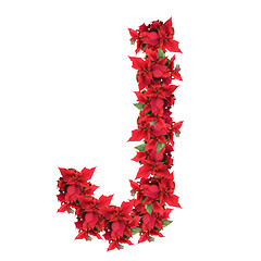 Image showing letter from red christmas flowers isolated on white