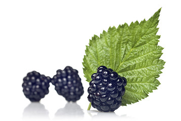 Image showing blackberry with green leaf isolated on white