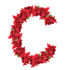 Image showing christmas flower