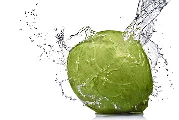 Image showing fresh water splash on coconut isolated on white