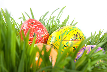 Image showing color easter eggs in nest from green grass on white