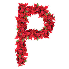 Image showing letter from red christmas flowers isolated on white