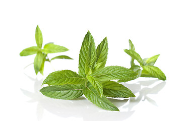 Image showing green mint isolated on white