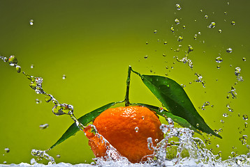 Image showing Tangerine with green leaves and water splash on green background