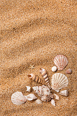 Image showing frame from various shells on sand