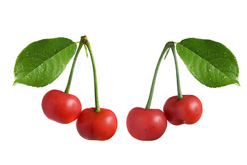 Image showing red cherry with leaves isolated on white