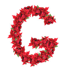 Image showing letter from red christmas flowers isolated on white