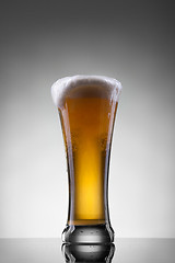 Image showing Beer in glass on white background