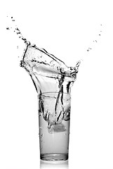 Image showing water splash in glass isolated on white