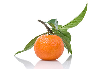 Image showing Tangerine with green leaves isolated on white