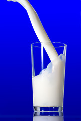 Image showing Milk splash isolated on blue