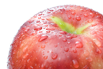 Image showing red apple with water drops isolated on white