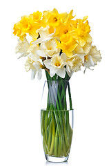 Image showing bouquet from white and yellow narcissus in vase isolated