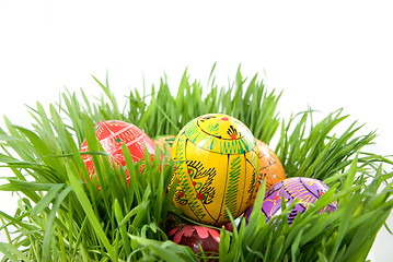 Image showing color easter eggs in nest from green grass on white