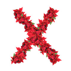 Image showing letter from red christmas flowers isolated on white