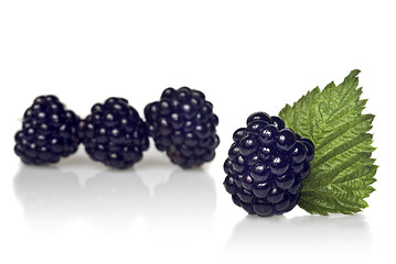 Image showing blackberry with green leaf isolated on white