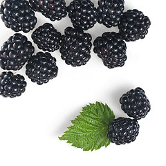 Image showing blackberry with green leaf isolated on white