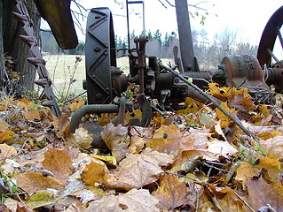 Image showing Autumn leaves 2