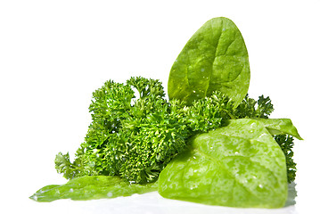 Image showing green spinach isolated on white