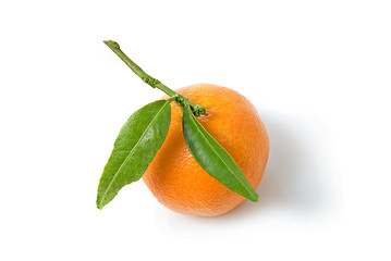 Image showing Tangerine with green leaves isolated on white