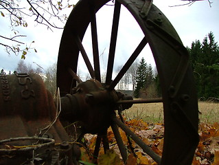 Image showing Wheel in the autumn