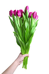 Image showing Hand with bouquet from pink tulips isolated on white