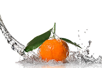 Image showing Tangerine with water splash isolated on white