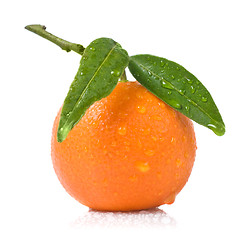 Image showing Tangerine with green leaves and water drops isolated on white