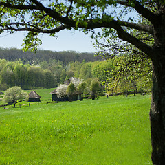 Image showing old houses on green meadow