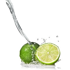 Image showing Water splash on lime isolated on white