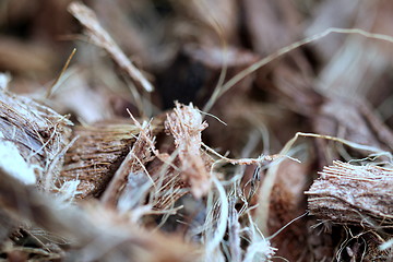 Image showing mulch