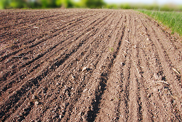 Image showing Plowed field