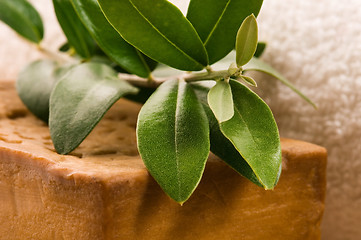 Image showing Natural Olive Soap With Fresh Branch