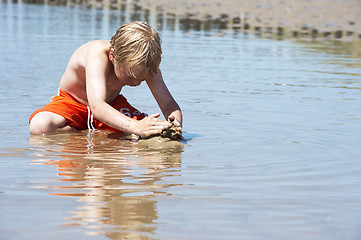 Image showing Boy plays with sand