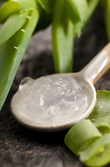 Image showing aloe vera juice with fresh leaves