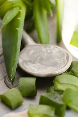 Image showing aloe vera juice with fresh leaves