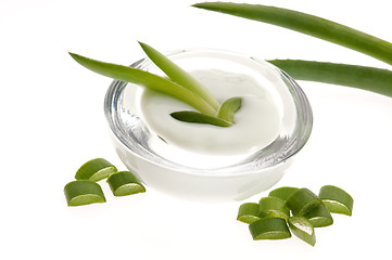 Image showing aloe vera - leaves and cream isolated on white background 