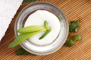 Image showing aloe vera - leaves and face cream