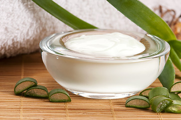 Image showing aloe vera - leaves and face cream