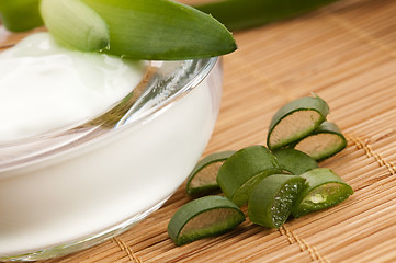 Image showing aloe vera - leaves and face cream