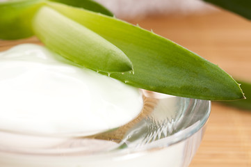 Image showing aloe vera - leaves and face cream